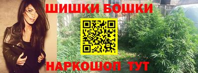 тгк Новодвинск